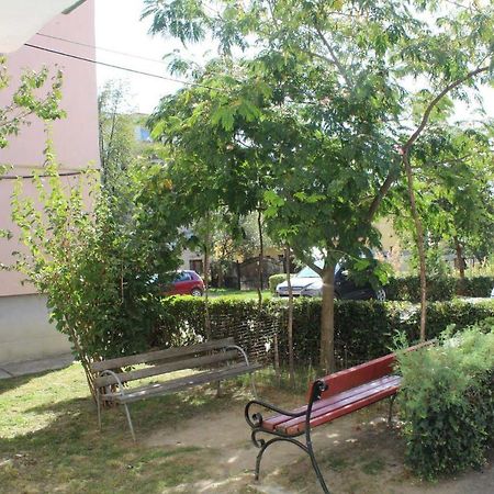 Апартаменти Apartament Anca Тиргу-Окна Екстер'єр фото