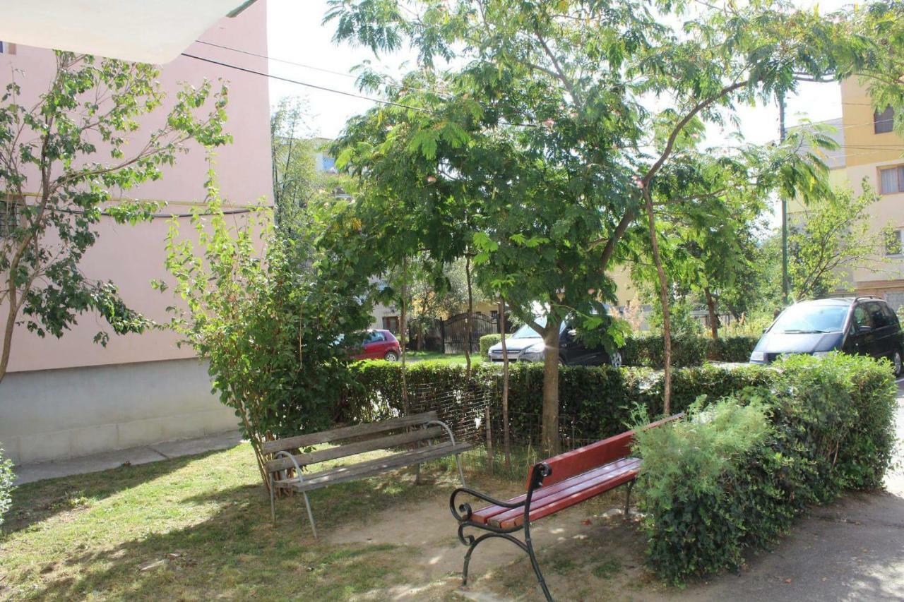 Апартаменти Apartament Anca Тиргу-Окна Екстер'єр фото