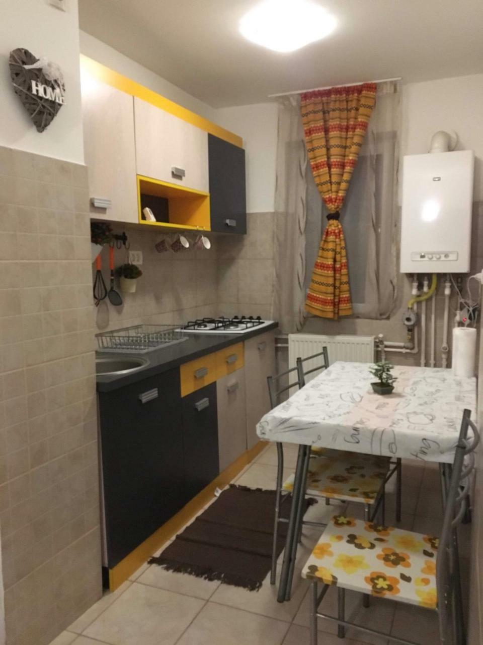 Апартаменти Apartament Anca Тиргу-Окна Екстер'єр фото